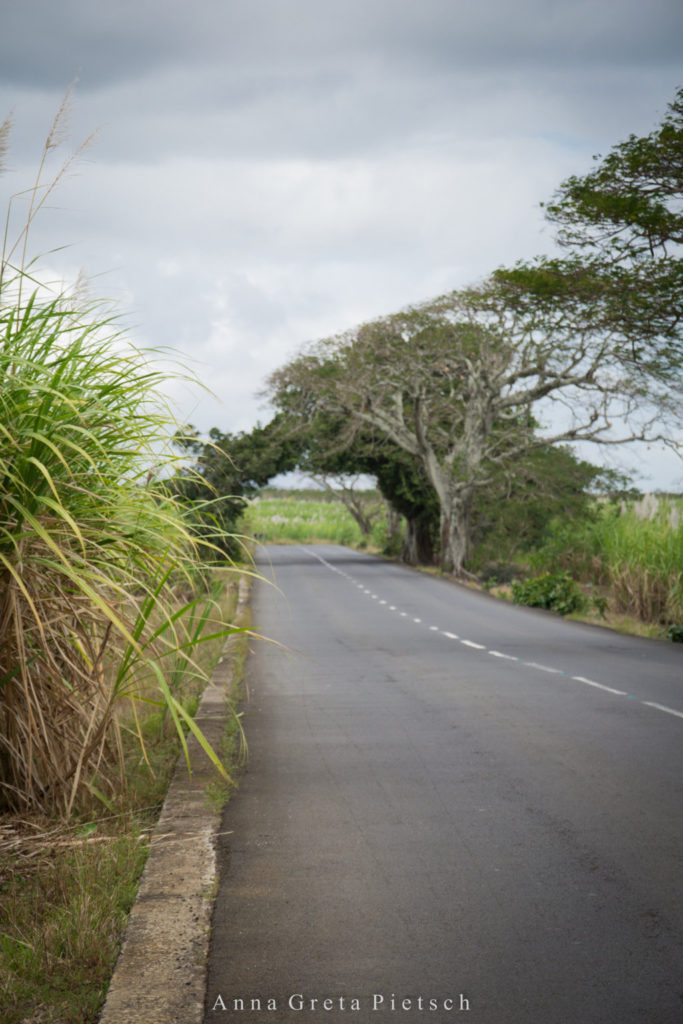 Straße_Mauritius-2 (FILEminimizer)