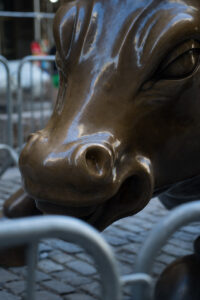 Charging Bull