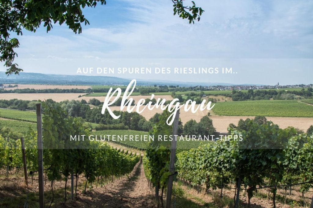 Eine Weinreise durchs Rheingau, Deutschland
