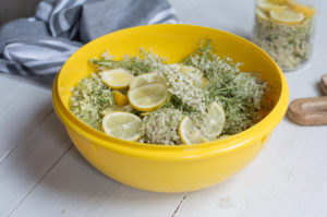 Zutaten in Schale für Holunderblütensirup