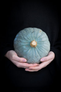 Kürbis Crown Pronce