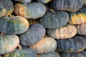 Thai-Kürbisse auf einem Markt in Chiang Mai, Thailand