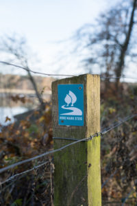 Wanderweg: Hohe Mark Stieg