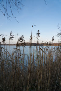 Halterner Stausee in der Abendsonne