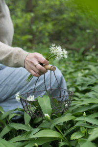 Bärlauchblüten sind auch essbar