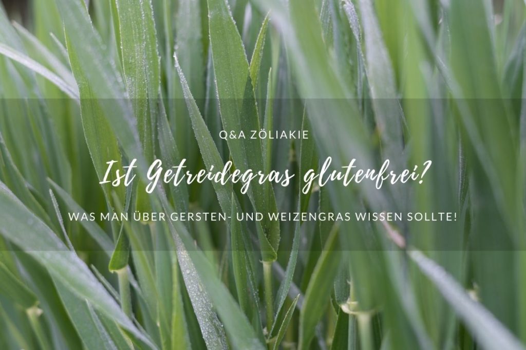 Ist Getreidegras glutenfrei?