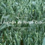 Die Marsh-Kriterien bei Zöliakie