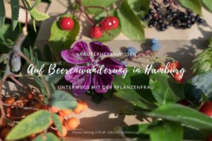 Beerenwanderung mit der Pflanzenfrau