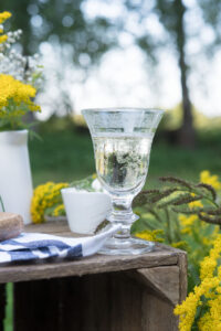 Weißweinglas beim Picknick