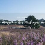 Ausflugsziel Westruper Heide