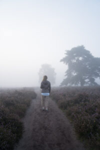 Sonnenaufgang Westruper Heide, Haltern
