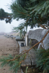 Thermoskanne in Heidelandschaft, Westruper Heide