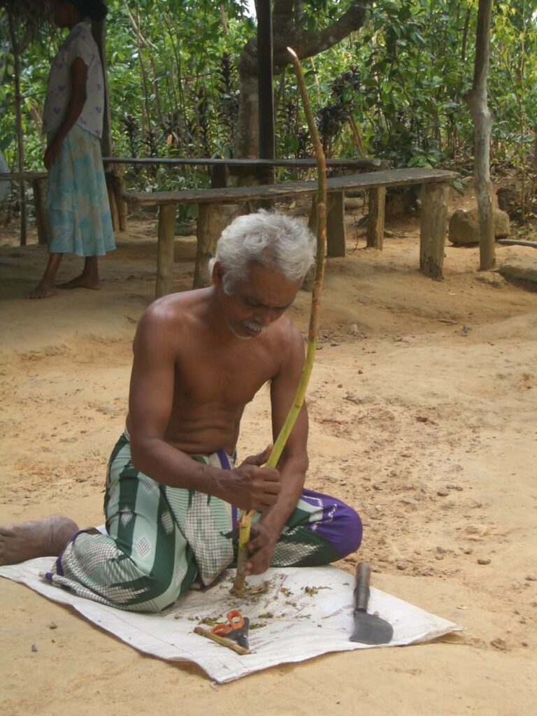 Herstellung von Zimt auf Sri Lanka