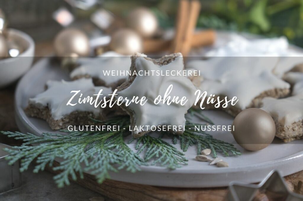 Zimtsterne ohne Nüsse