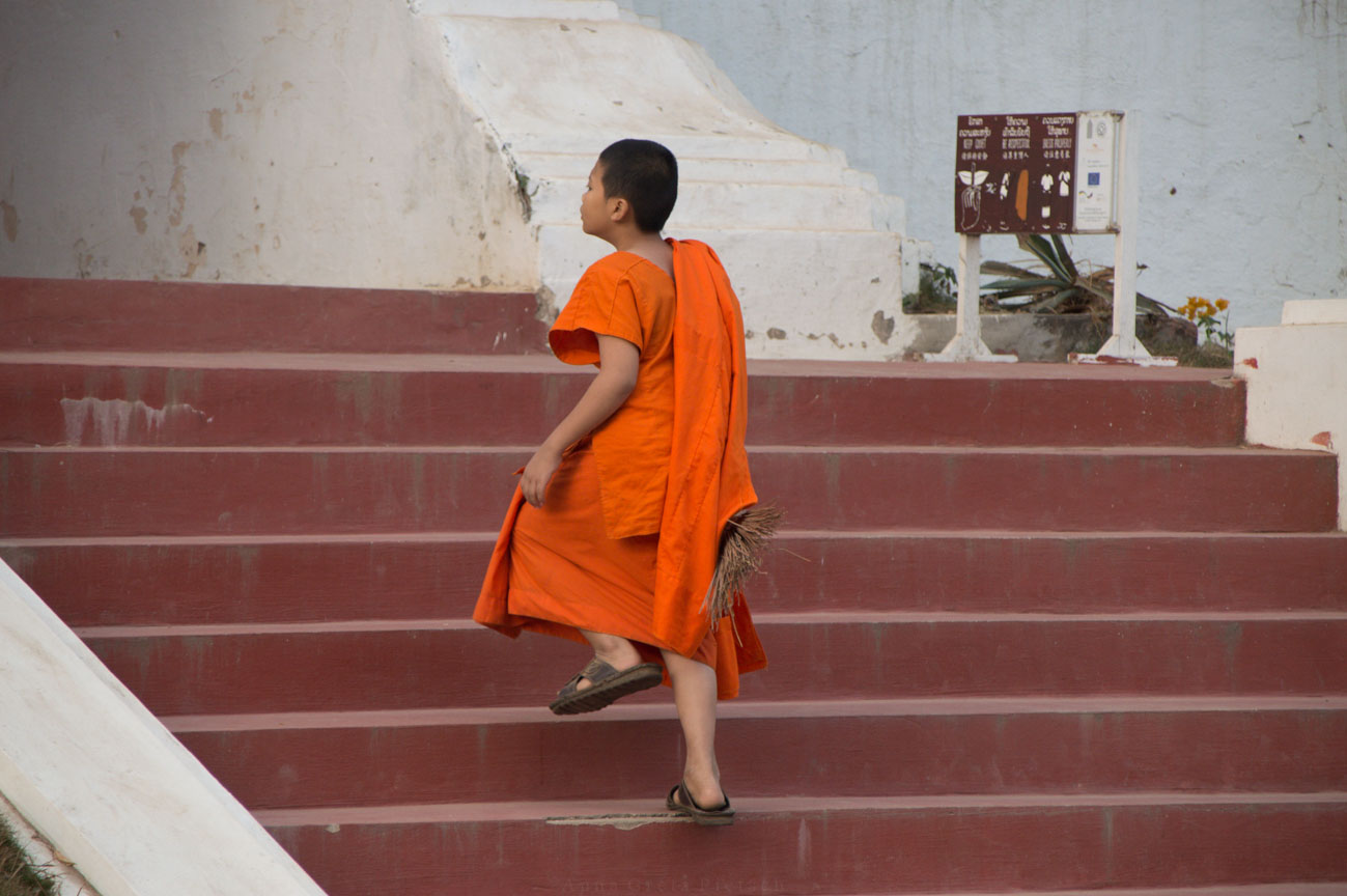 junger Mönch an Tempel, Luang Prabang, Laos