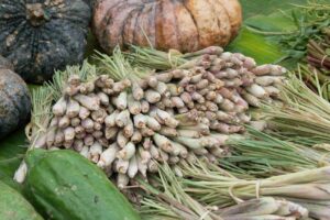 Zitronengras auf dem Markt, Luang Prabang, Laos