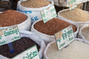 So viele Reissorten zur Auswahl!