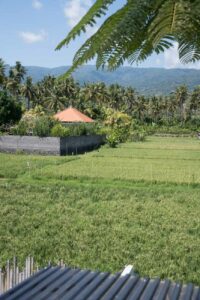 Ausblick Coffeenosky, Lovina, Bali