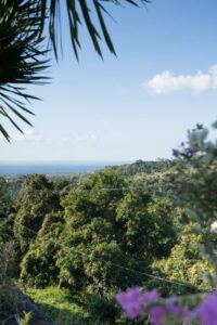 Ausblick Brahmavihara-Arama Temple, Lovina