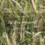 Ist Reis ungesund?
