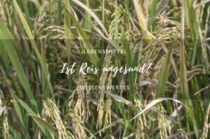 Ist Reis ungesund?