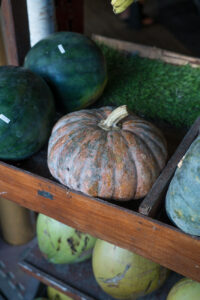 Kürbisse