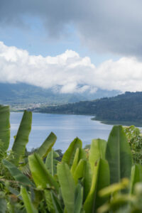 Seen in Nord-Bali, Munduk