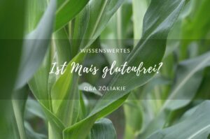 Ist Mais glutenfrei?