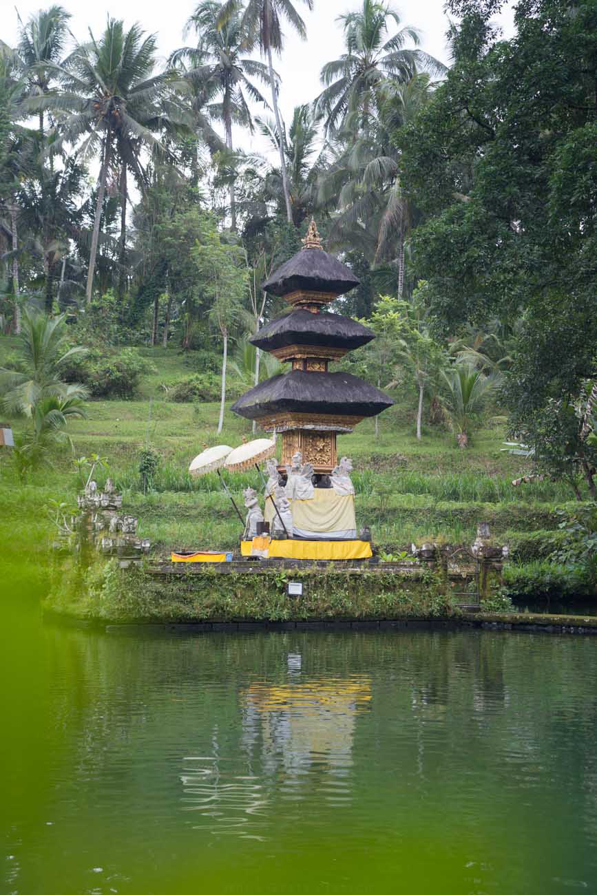 Taman Mumbul Sangeh, Bali