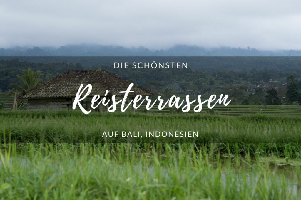 Reisterrassen auf Bali