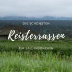 Reisterrassen auf Bali