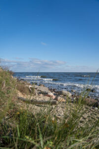 Strand Gdynia Orłowo