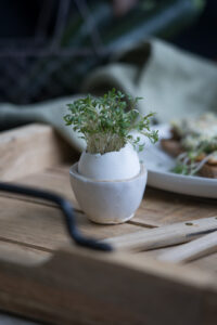 Kresse in Eierschale