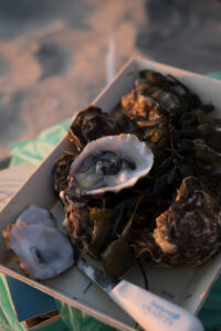 frische Austern