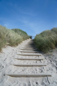 Strand und Dünengras