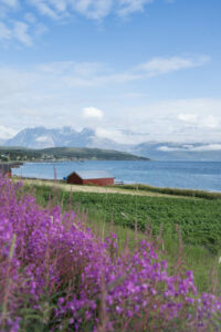 Landschaft Lyngen