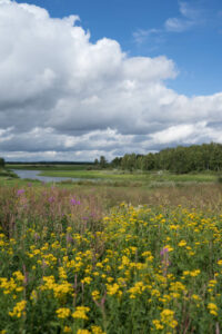 Landschaft in Muonio