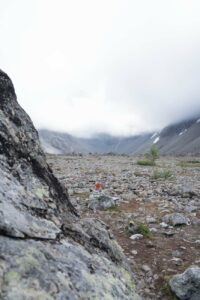 Der Blavatnet im Nebel