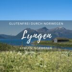 glutenfrei in Norwegen - Lyngen
