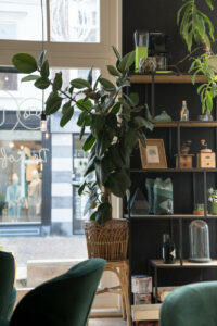 De Koffiemolen, Alkmaar