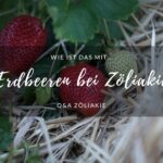 Erdbeeren bei Zöliakie
