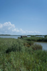 Kune-Vain-Tale Reservat