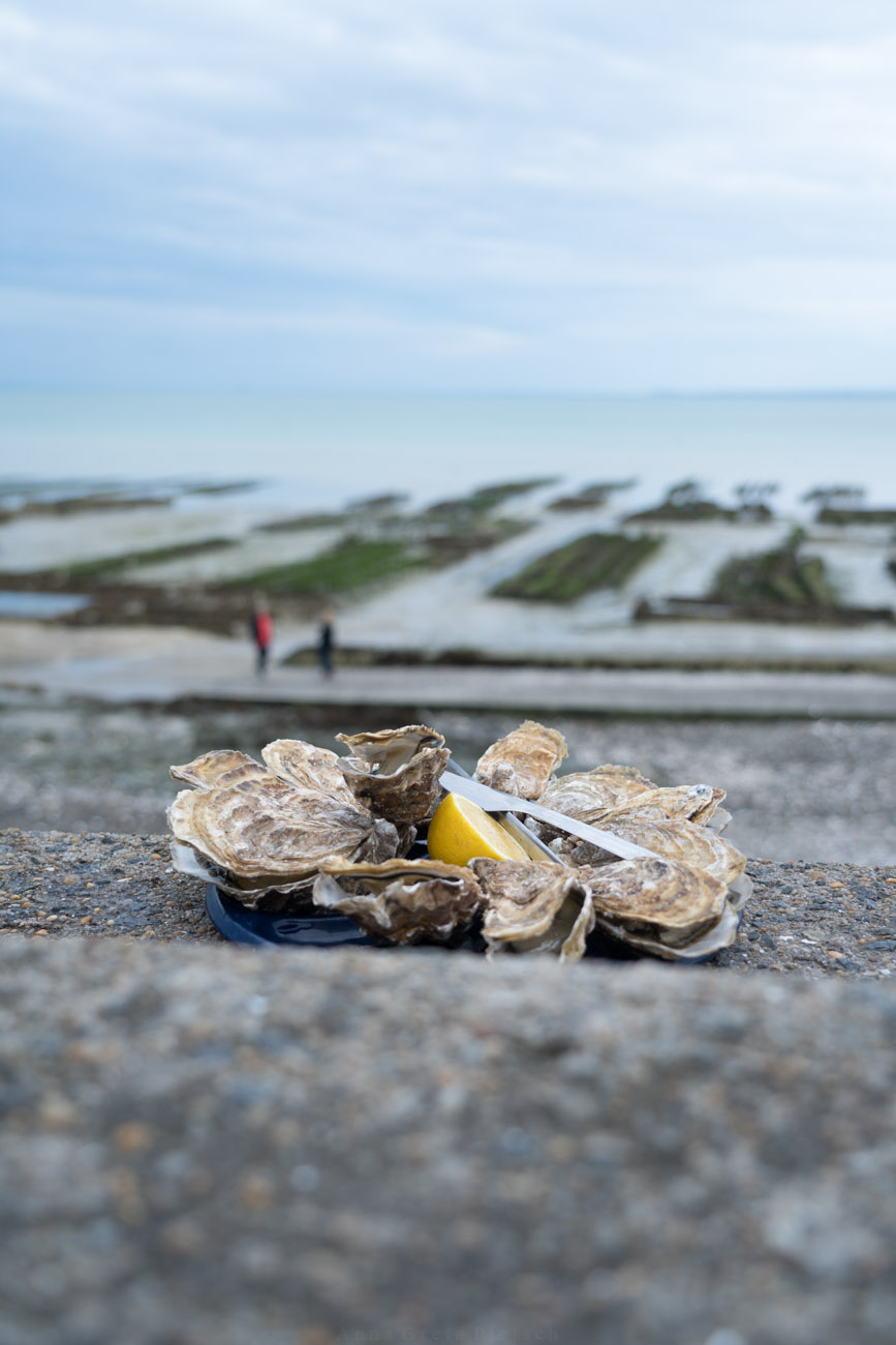 Austern in Cancale