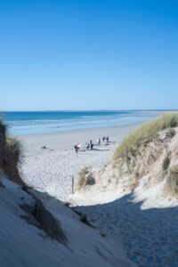 La Torche