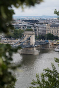 Ein Blick auf die Kettenbrücke und Donau in Budapest vom Nationalmuseum aus mit Bäumen und Sträuchern im Vordergrund (unscharf)