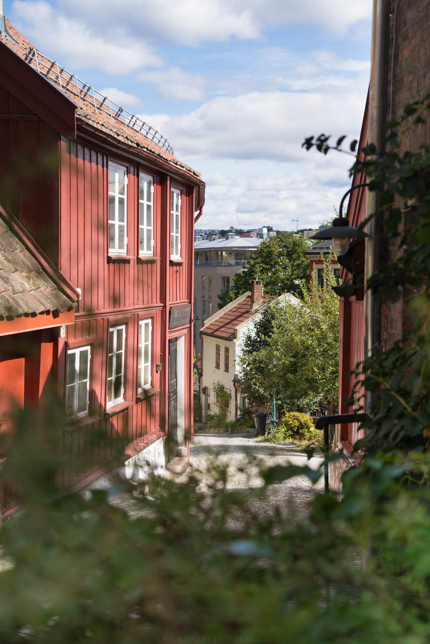 Eine kleine Straße mit roten Holzhäusern mit grünen Pflanzen im Vordergund in Oslo, Norwegen.
