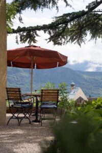 Ein Tisch mit zwei Stühlen und einem dunkelroten Sonnenschitm unter einem großen Nadelbaum mit Blick auf die Weinberge.