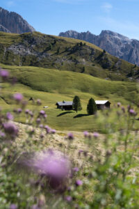 Der Blick auf zwei Hütten auf einer grünen Wiese in den Dolomiten, Südtirol.